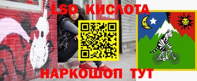 ГАЛЛЮЦИНОГЕННЫЕ ГРИБЫ Пенза