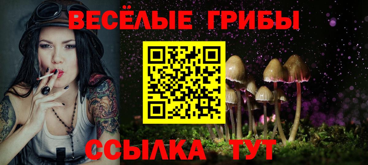 Галлюциногенные грибы мицелий Санкт-Петербург